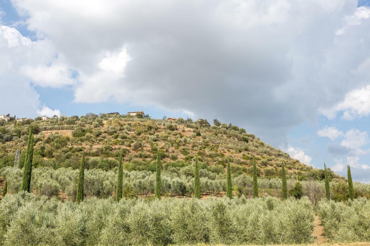 Little Val D'Orcia Apartman Montenero d'Orcia Kültér fotó