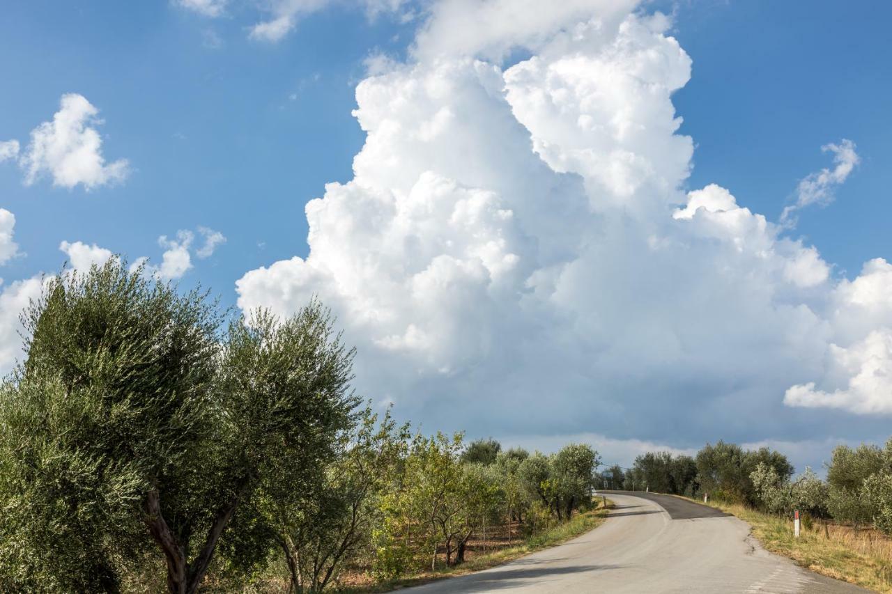 Little Val D'Orcia Apartman Montenero d'Orcia Kültér fotó